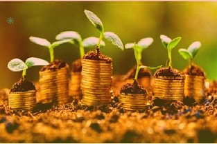 前11月甘肃省属企业累计实现工业总产值逾4102亿元