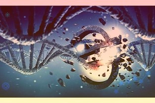 世界最大跨径独柱式三塔空间缆悬索桥主塔全部封顶