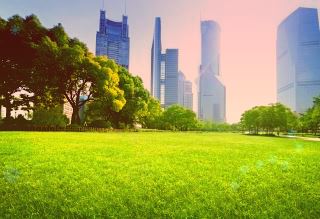 总楼层33层哪些层是槽钢层33层单身公寓如何选择楼层